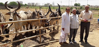 ||13 April 2016||Gaurav adopted a Kankrej desi breed cow in SOUL Mahakalika Gaushala and named her, Durgesh.