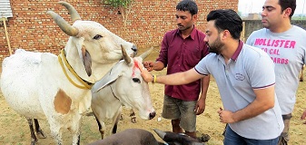 ||5 October 2016||Sunil Tangri and his sons adopted a cow in SOUL Mahakalika Gaushala and named her Kalyani.